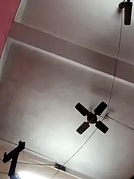 Panchi2 online show from November 4, 2025, 4:05 am