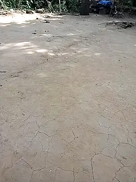 Pinki bhabi 2002 online show from November 20, 2025, 6:36 am