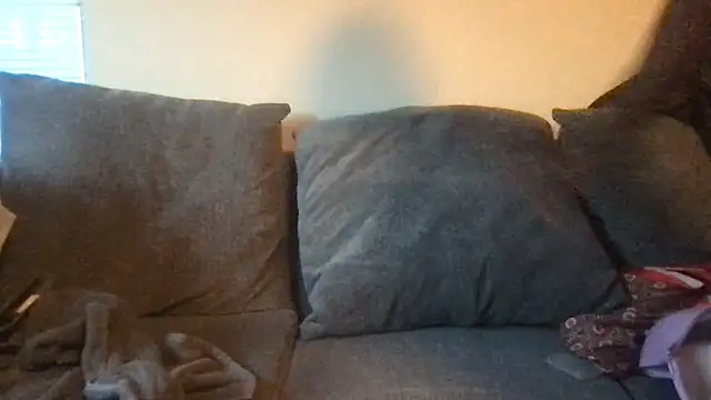 RichDaddy60 online show from November 4, 2025, 12:53 pm