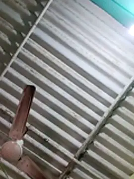 Desi masti69 online show from December 3, 2025, 5:23 pm