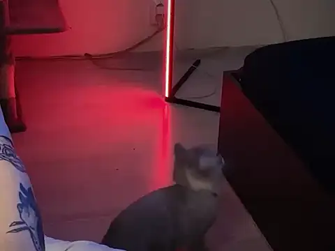 davesinner online show from March 1, 2026, 9:42 am