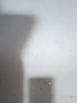 Lusty fairy22 online show from October 21, 2025, 4:39 pm