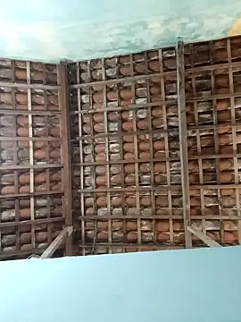 NegroAracaju online show from April 19, 2026, 12:11 am