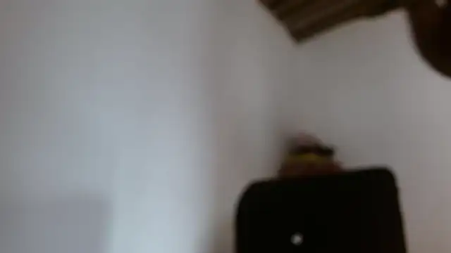 DaiishaWolf online show from May 28, 2026, 7:42 pm