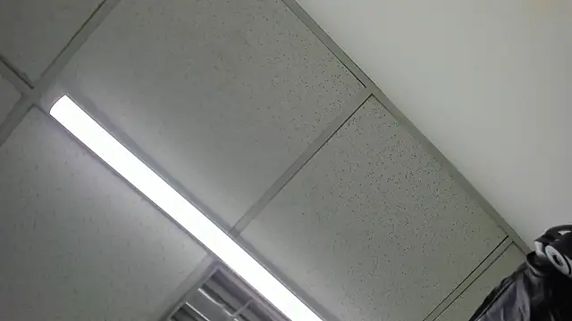 Aisha hotts777 online show from March 1, 2026, 4:01 am