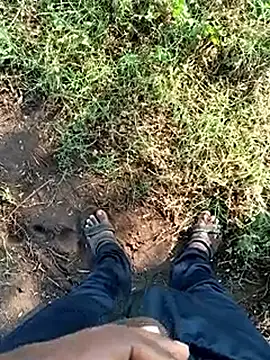 dolphiinn online show from February 25, 2026, 3:18 am