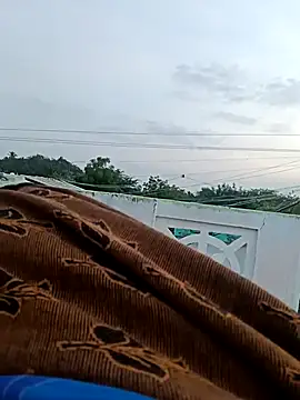 dolphiinn online show from October 9, 2025, 12:33 am