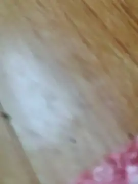 Markroco696 online show from October 18, 2025, 2:57 am