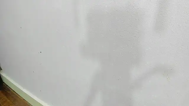 Snapshot of scarlett646 chatting on January 14, 2026, 3:10 am scarlett646 online show from January 14, 2026, 3:10 am