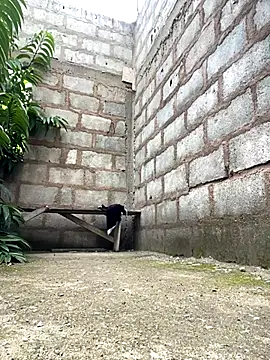 Snapshot of Makemecum634941 chatting on October 6, 2025, 8:26 am Makemecum634941 online show from October 6, 2025, 8:26 am