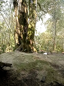 rubi bae online show from April 7, 2026, 2:46 am