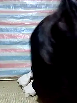 Snapshot of Georgia_here chatting on December 16, 2025, 12:37 am Georgia here online show from December 16, 2025, 12:37 am