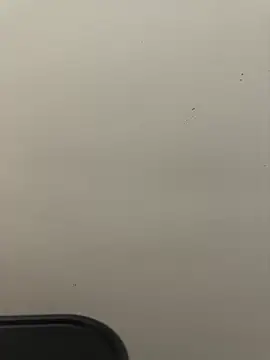 moneymarcii online show from February 17, 2026, 9:39 am