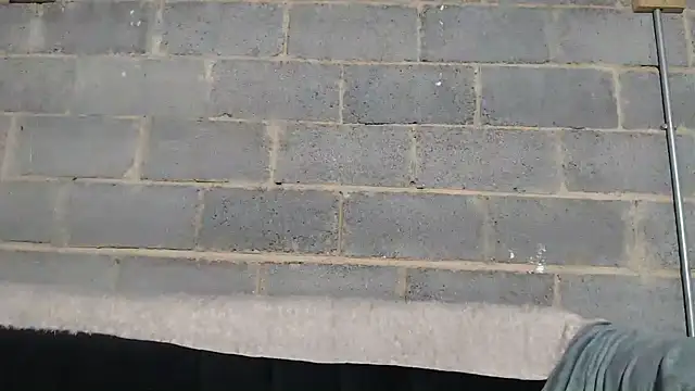 Vince Favent online show from September 26, 2025, 1:56 am