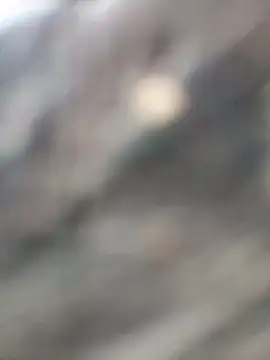 Snapshot of Arya85 chatting on November 13, 2025, 3:43 am Arya85 online show from November 13, 2025, 3:43 am