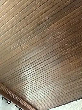 Jasmin Pink online show from November 19, 2025, 3:12 pm