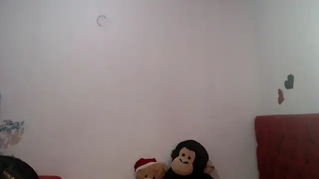 sam sexyy1 online show from November 28, 2025, 2:50 pm