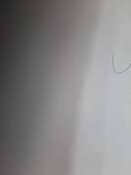 Facosaf online show from November 11, 2025, 5:52 pm