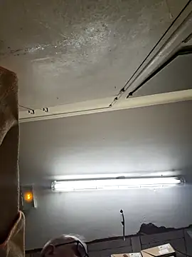 Valen tinx19cm online show from February 28, 2026, 11:21 am