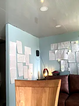 Snapshot of Canneela chatting on November 29, 2025, 6:08 pm Canneela online show from November 29, 2025, 6:08 pm