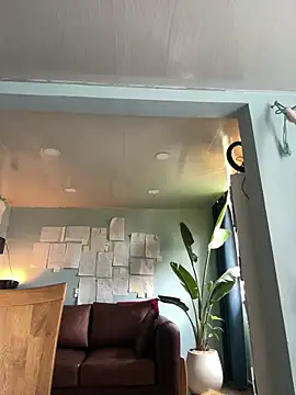 Canneela online show from March 24, 2026, 3:56 pm