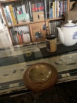 PuraTinta miau online show from February 14, 2026, 7:30 am