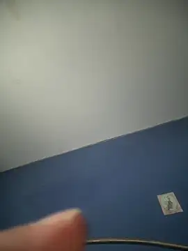 Snapshot of stevo170t chatting on July 29, 2026, 11:37 pm stevo170t online show from July 29, 2026, 11:37 pm