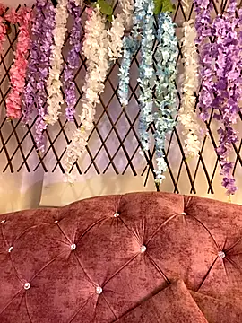 Tegui-sc online show from November 13, 2025, 3:54 am