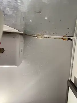 Snapshot of Pyy07 chatting on February 20, 2026, 11:56 am Pyy07 online show from February 20, 2026, 11:56 am