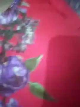 hezabi queen07 online show from September 19, 2025, 6:12 pm