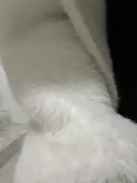 Snapshot of Cumonmme chatting on January 18, 2026, 8:23 pm Cumonmme online show from January 18, 2026, 8:23 pm