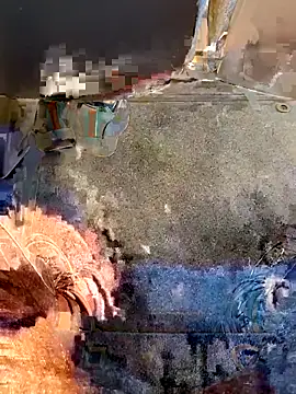 beerant online show from October 8, 2025, 7:21 am