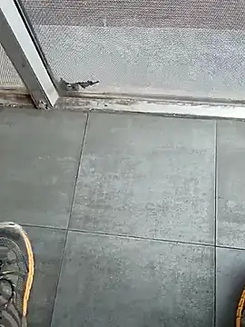 beerant online show from October 24, 2025, 10:47 am