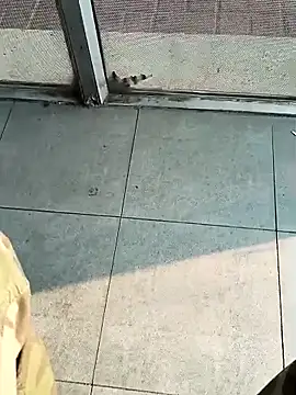 beerant online show from December 1, 2025, 5:19 am