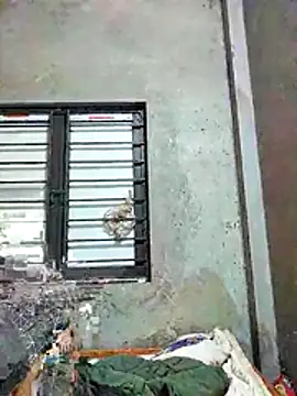 kute-00 online show from November 26, 2025, 2:17 pm