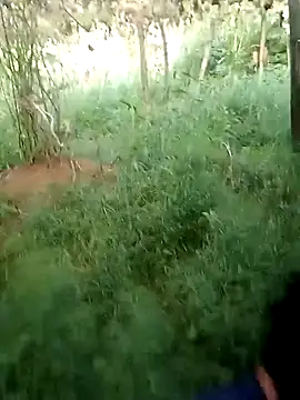 ngan-cute online show from October 11, 2025, 11:17 pm