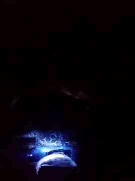 gostoso delas 2 online show from September 17, 2025, 4:20 pm