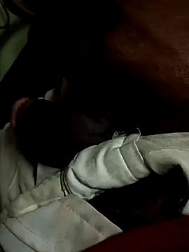 Snapshot of CaramelBrownBBC14 chatting on November 26, 2025, 7:19 am CaramelBrownBBC14 online show from November 26, 2025, 7:19 am