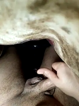 Snapshot of radois54 chatting on February 11, 2026, 4:45 am radois54 online show from February 11, 2026, 4:45 am