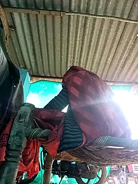 Hot-honi online show from November 8, 2025, 9:46 am