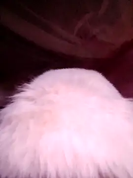 VanGau031694 online show from November 13, 2025, 11:52 pm