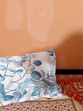 siya rani67 online show from April 2, 2026, 1:57 am