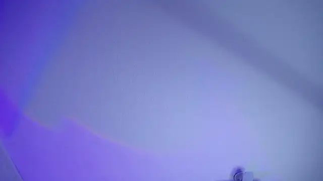  Charlotte Collins  online show from April 14, 2026, 1:49 pm