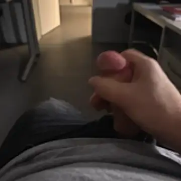 stunning stallion online show from November 24, 2025, 5:02 pm