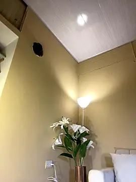 Snapshot of RedVelvet_Dream chatting on December 23, 2025, 4:12 am RedVelvet Dream online show from December 23, 2025, 4:12 am