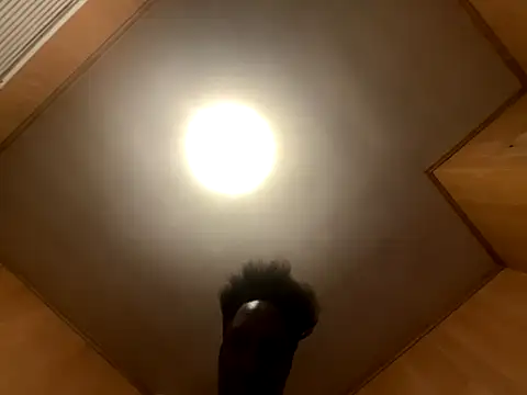 saltlightEmber online show from December 2, 2025, 12:44 am