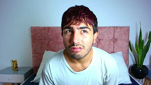 Ares Alpha online show from November 22, 2025, 6:18 pm