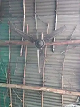 Pooja750 online show from December 21, 2025, 4:47 am