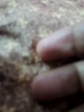 BeautyGirl sara online show from February 14, 2026, 9:42 am