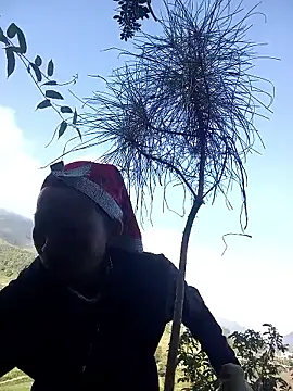 tcm-cute online show from October 28, 2025, 1:39 am